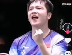 PG在线网站-德国队完胜日本队，樊振东刷新纪录的简单介绍