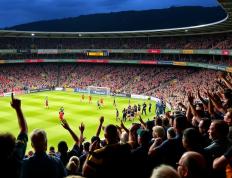 PG电子游戏-塔斯马尼亚联球迷现场助威，球队士气高涨