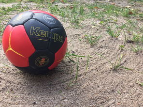 PG电子游戏-阿尔艾因伤病名单更新,关键球员状态备受关注